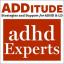 Slušajte "Izgradnju zdravog odnosa sa svojim odraslim ADHD-om" s Emily Anhalt, PsyD.