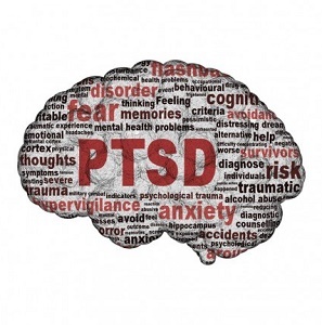 Trauma drugačije utječe na mozak kod ljudi koji razviju PTSP. Ali ne brinite, oporavak se događa. Naučite kako mozak oboljelih od PTSP-a djeluje kada se suočite s traumom. 