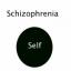 Odvajanje od shizofrenije