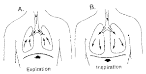 Dijafragmatično disanje