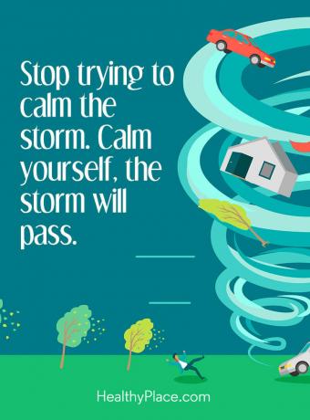 Citat mentalne bolesti - Prestanite pokušavati smiriti oluju. Smiri se, oluja će proći.