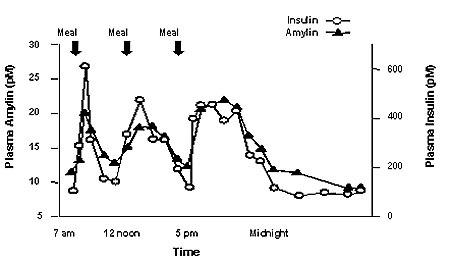 Profil izlučivanja amilina i inzulina kod zdravih odraslih osoba